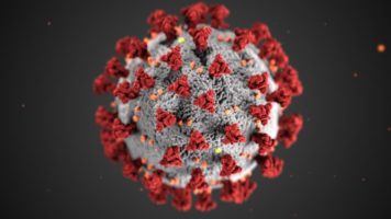 Novel Coronavirus Illustration provided by the CDC - Alissa Eckert, MS; Dan Higgins, MAMS.